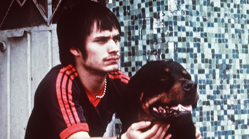 amores perros images. amores-perros